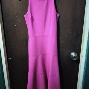 Banana Republic Fit and Flare Dress Size 0